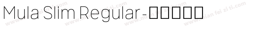 Mula Slim Regular字体转换